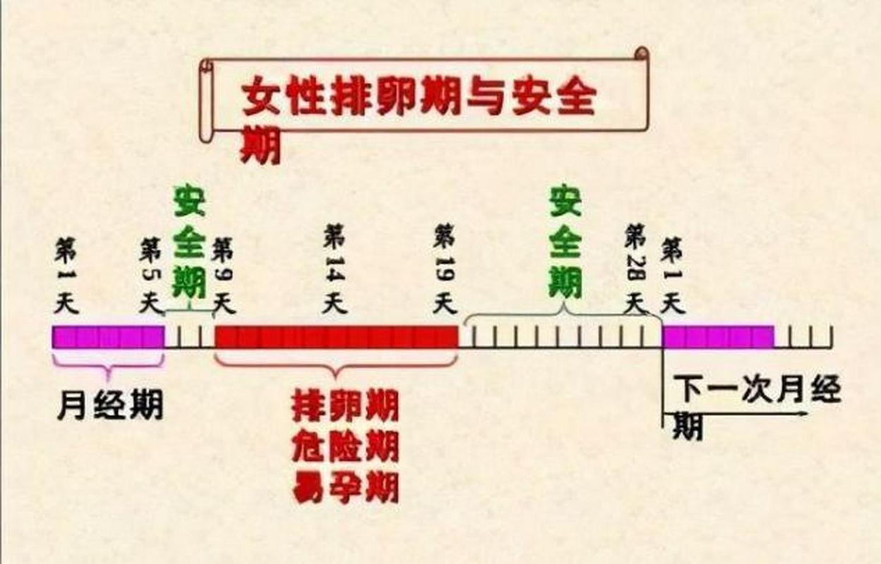 女生的危险期和安全期