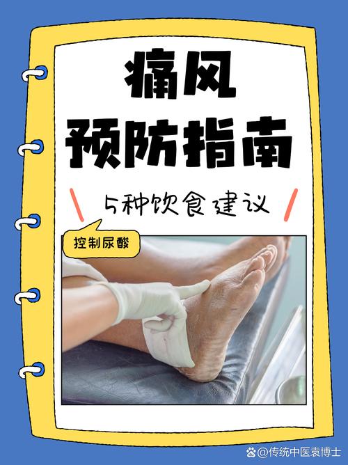 痛风的健康管理ppt