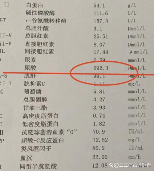 痛风尿酸指标是700