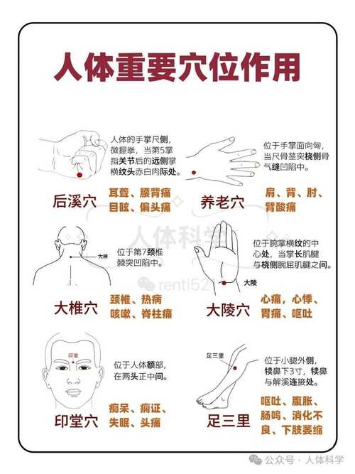 中医推拿和针灸哪个好