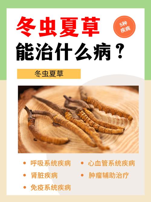 冬虫夏草可以治痛风吗