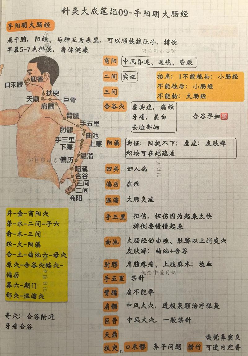 学中医可以不学针灸吗