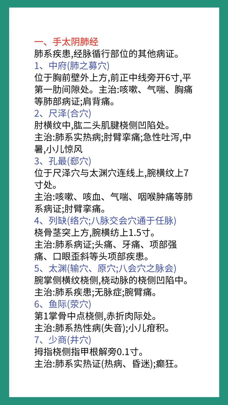 中医执业医师针灸重点