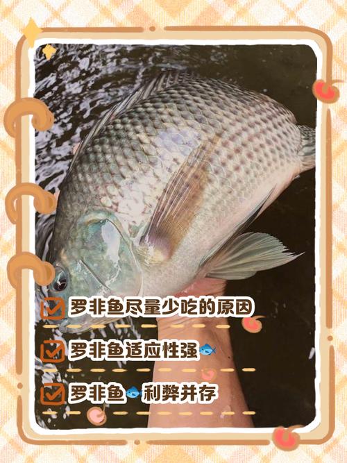 痛风患者能吃罗非鱼吗