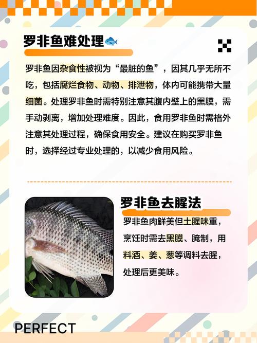 痛风患者能吃罗非鱼吗