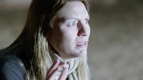 国土安全 第三季剧情