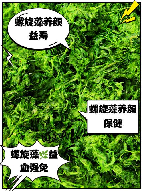 螺旋藻对痛风有作用吗