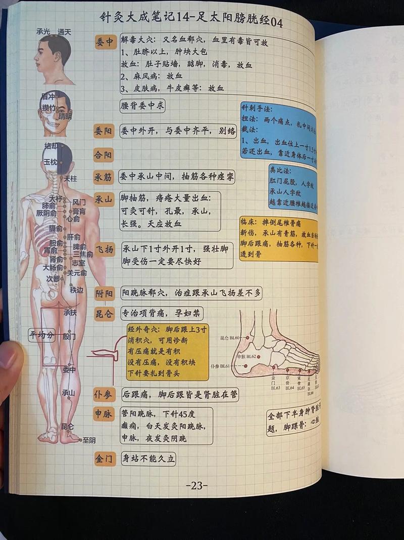 倪海厦人纪针灸再收集