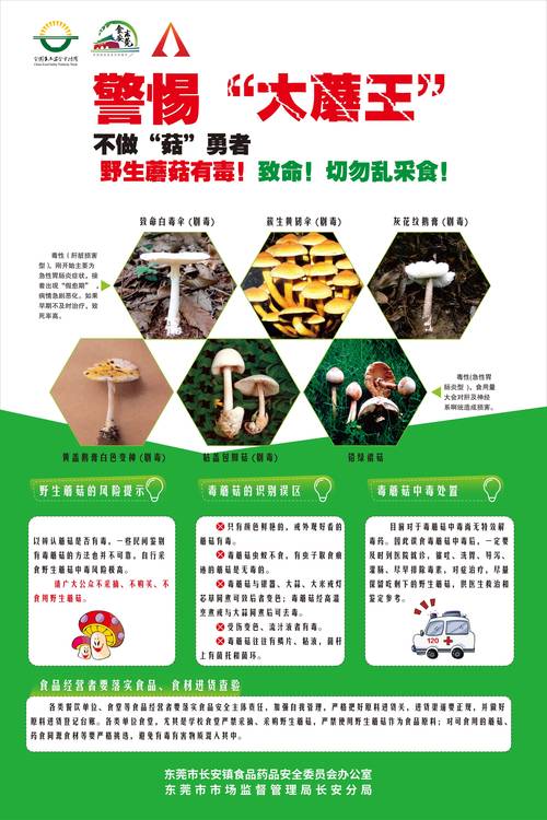 2026 食品安全周