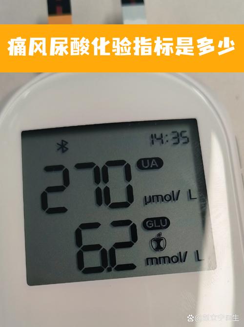 痛风的尿酸值是800