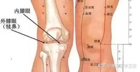 针灸时针动是怎么回事