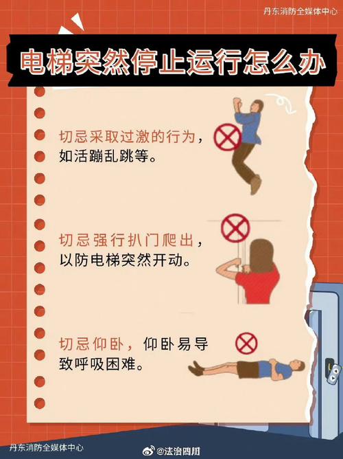 安全电梯里的安全教案