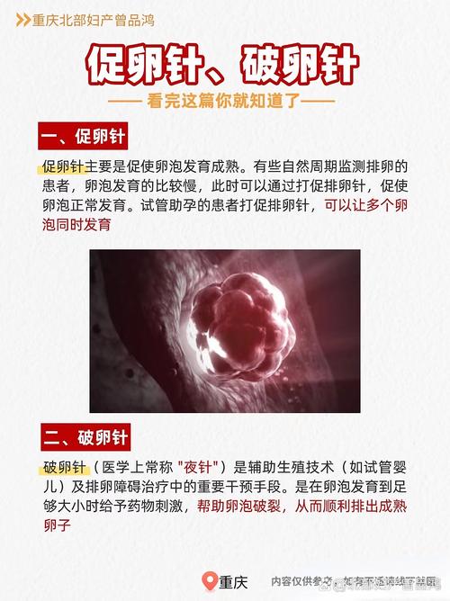 针灸对卵泡发育有用吗