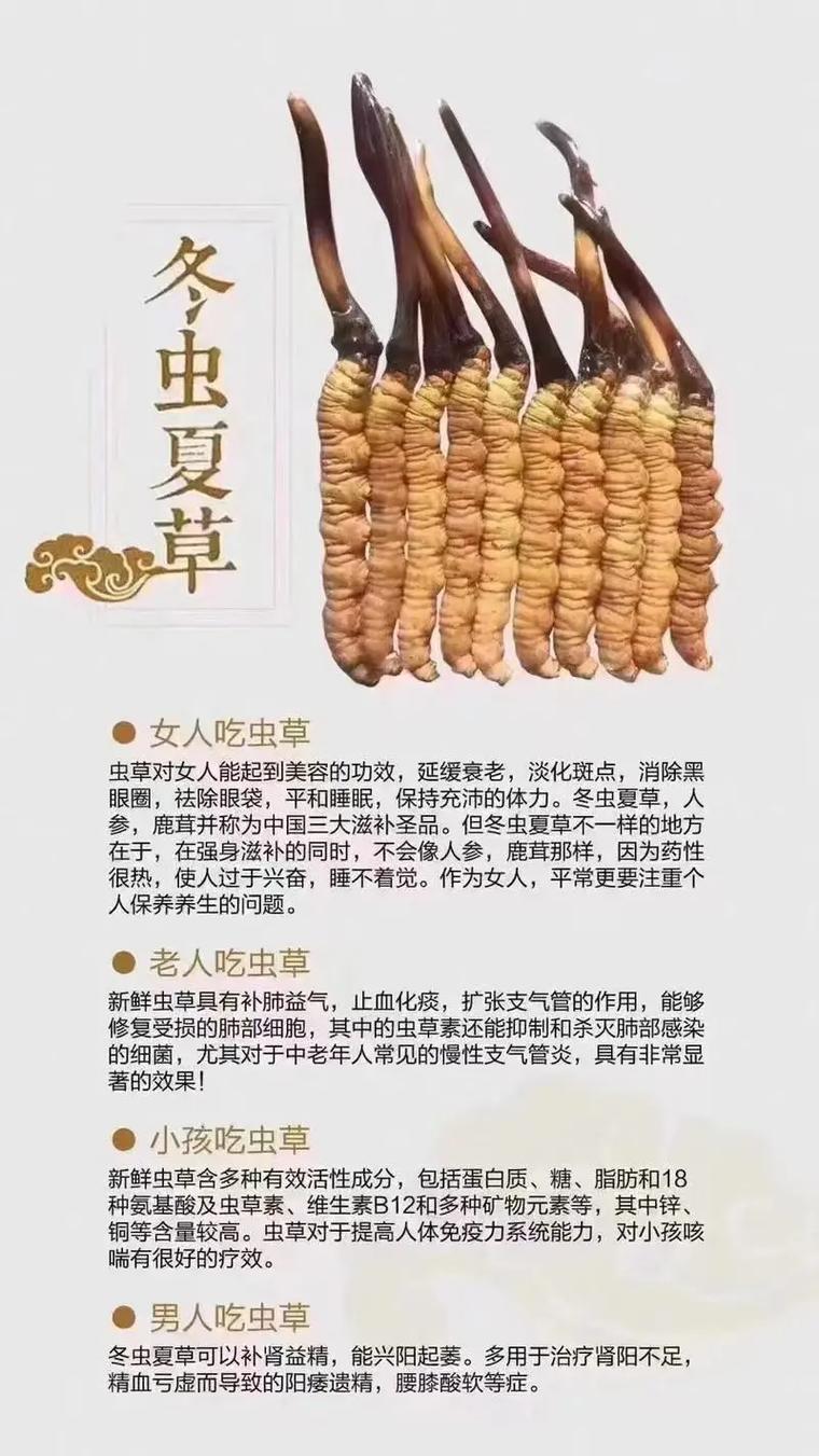 冬虫夏草痛风可以吃吗