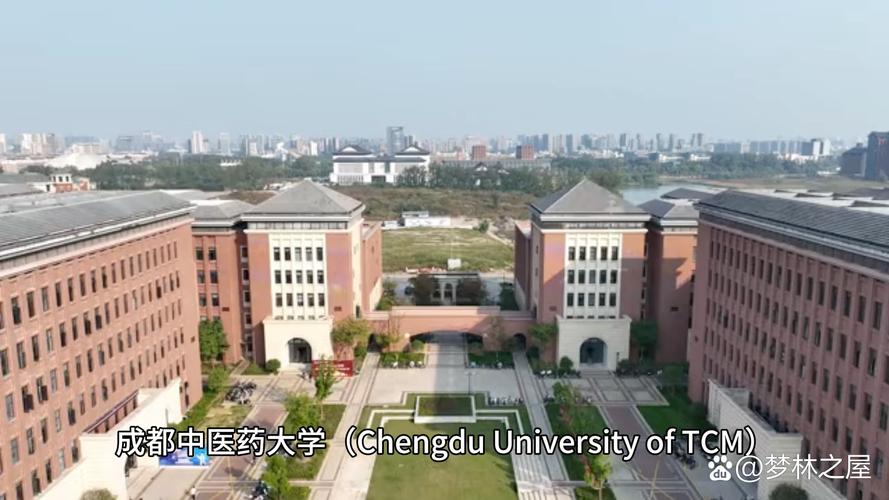 成都中医大针灸学校吧