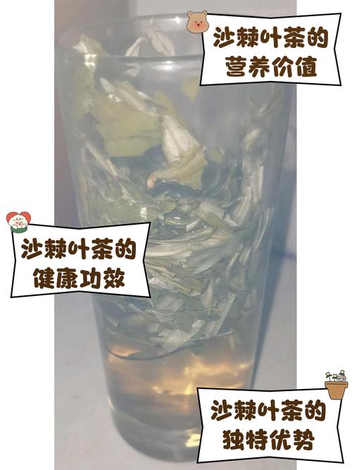 痛风可以喝茶叶吗水吗