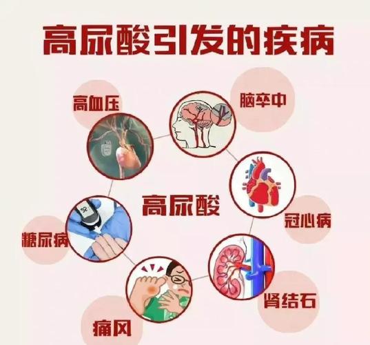 澳门发现痛风千年秘方