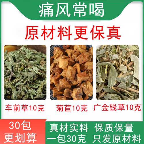 痛风 车前草 金钱草