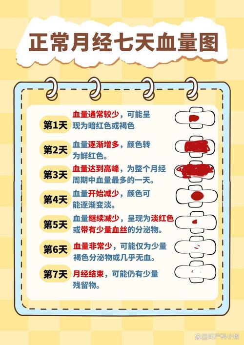 月经的七天是安全期吗