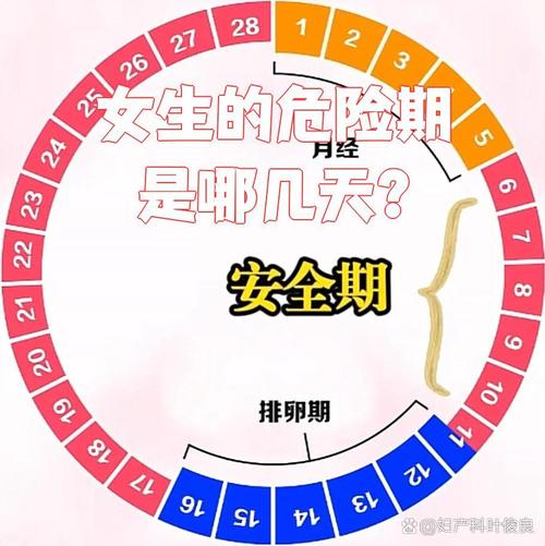 月经 排卵期 安全期