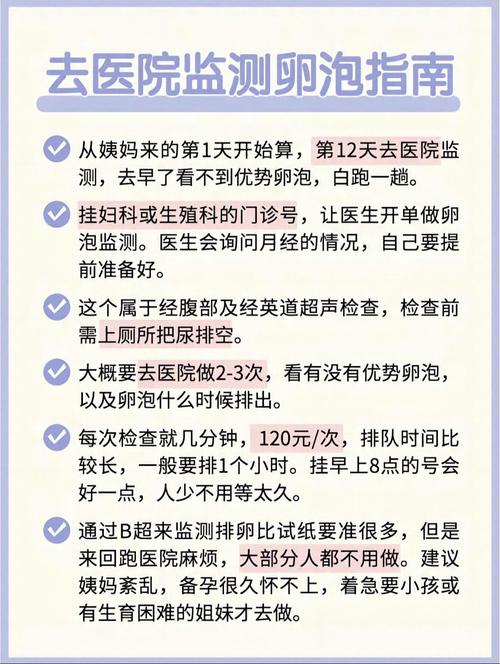 月经 排卵期 安全期