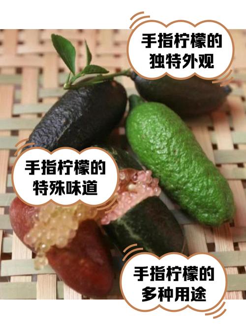 柠檬治痛风有没有效果