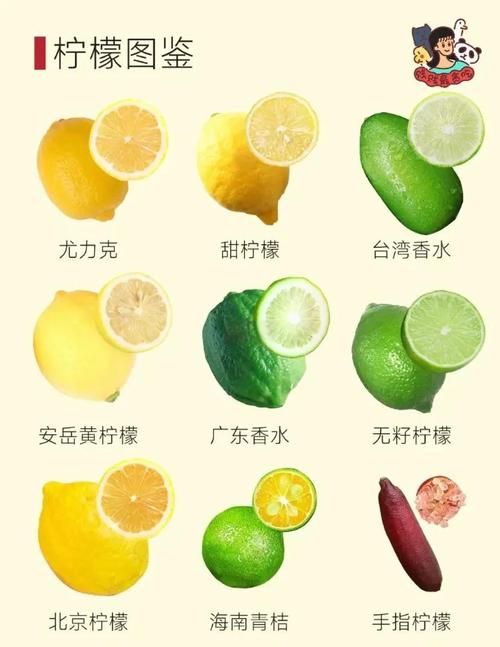 柠檬治痛风有没有效果