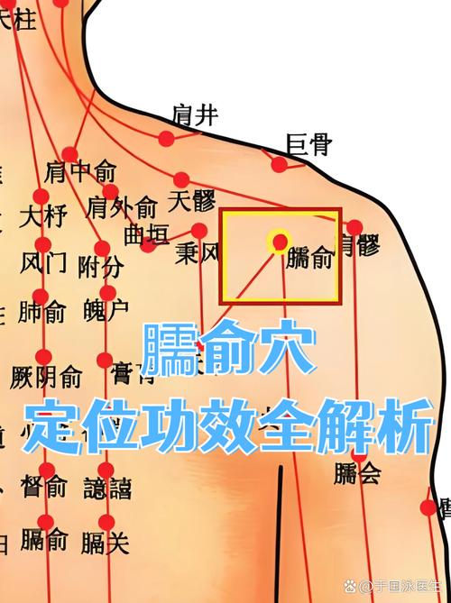 肩周炎针灸位置示意图