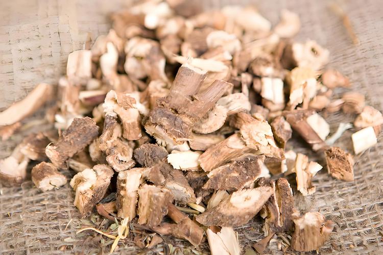 治疗痛风的中药有什么