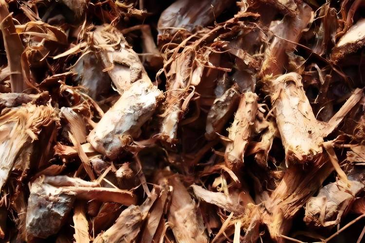 治疗痛风的中药有什么