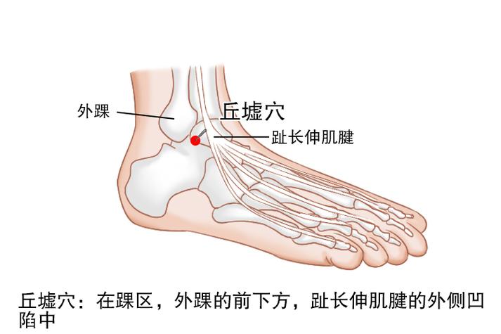丘墟的准确位置图针灸