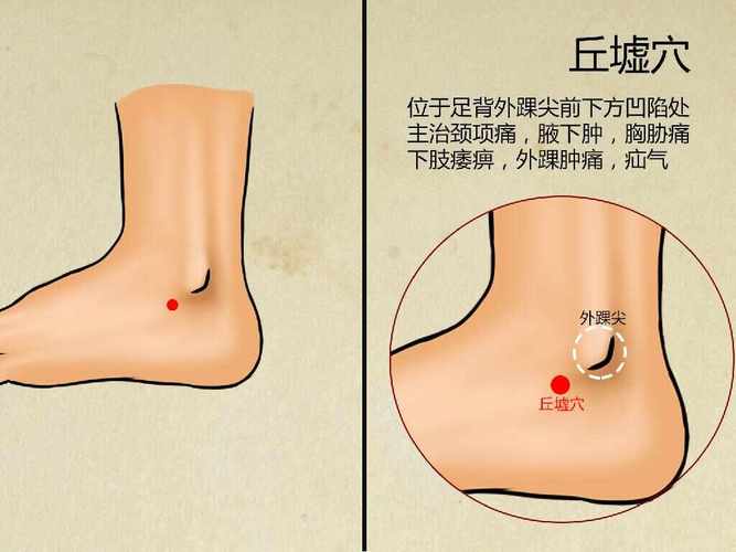 丘墟的准确位置图针灸
