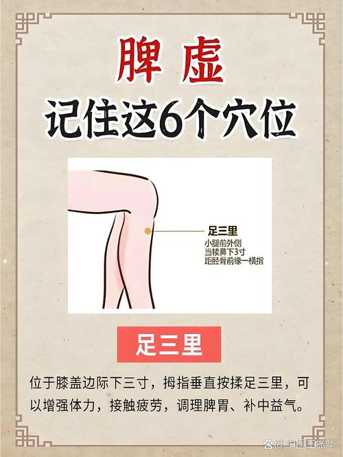 针灸能治好脾胃虚弱吗