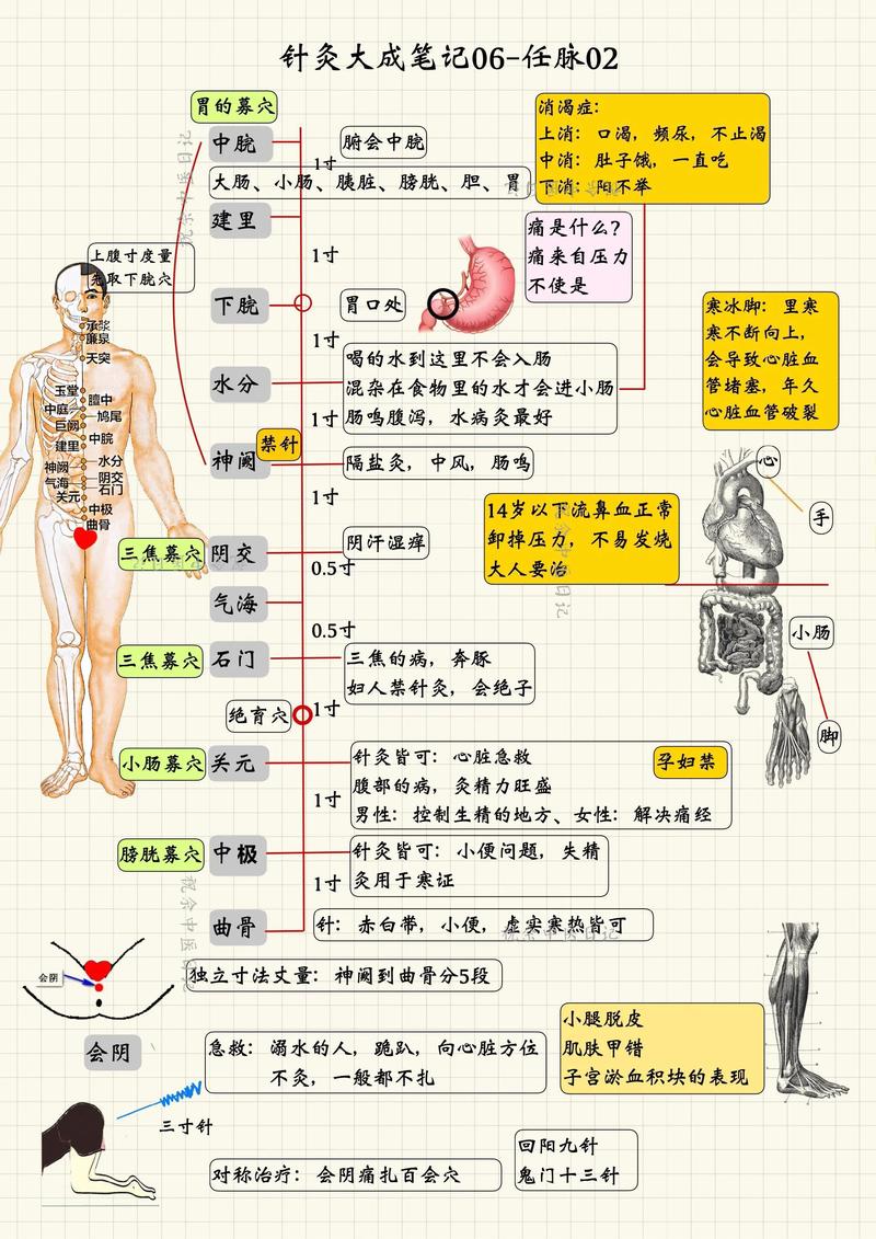 中医针灸推拿执业范围