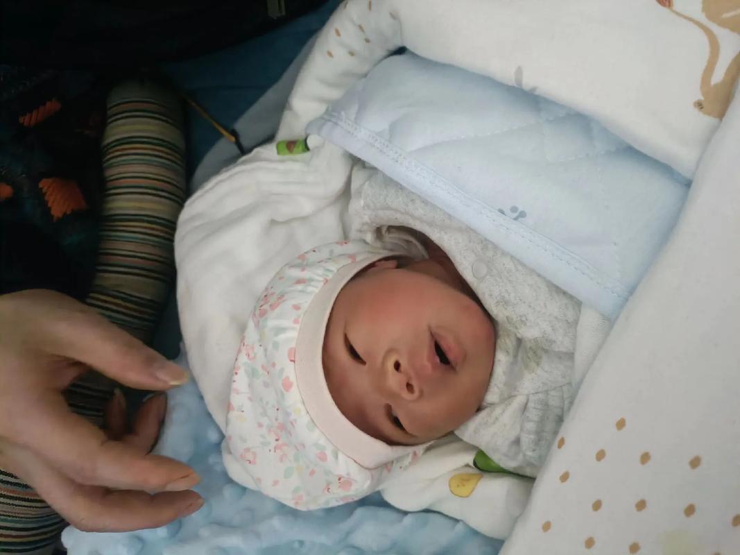 住保温箱宝宝没安全感