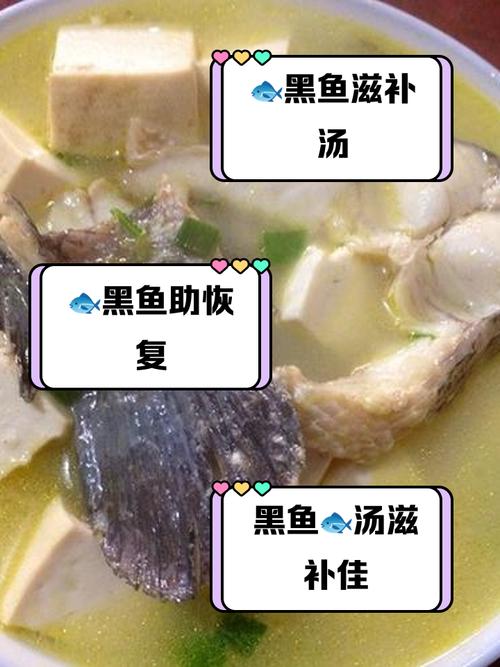 痛风病人能喝黑鱼汤吗