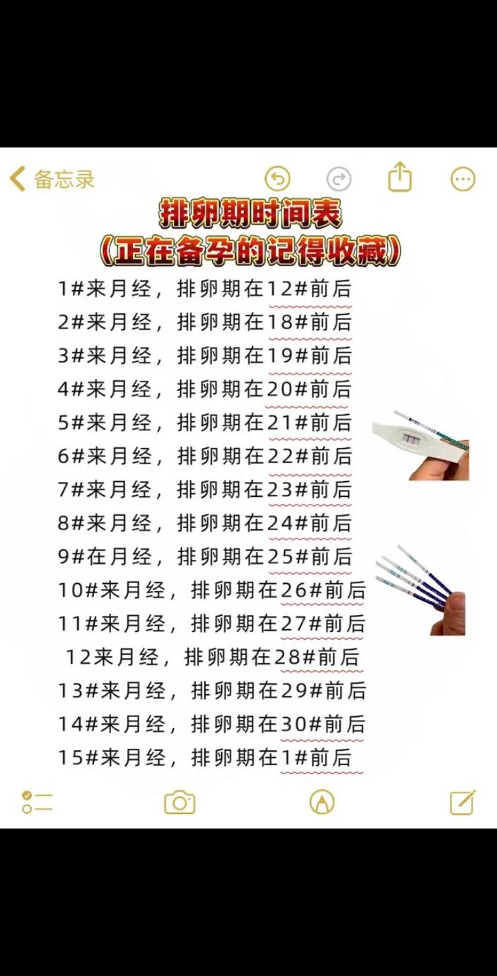 排卵日后多久是安全期