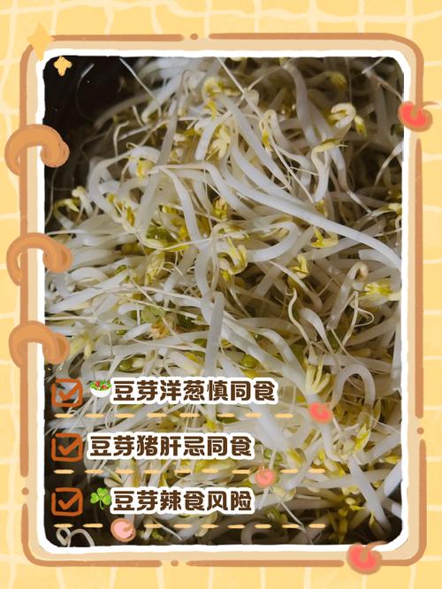 绿豆芽痛风病人能吃吗