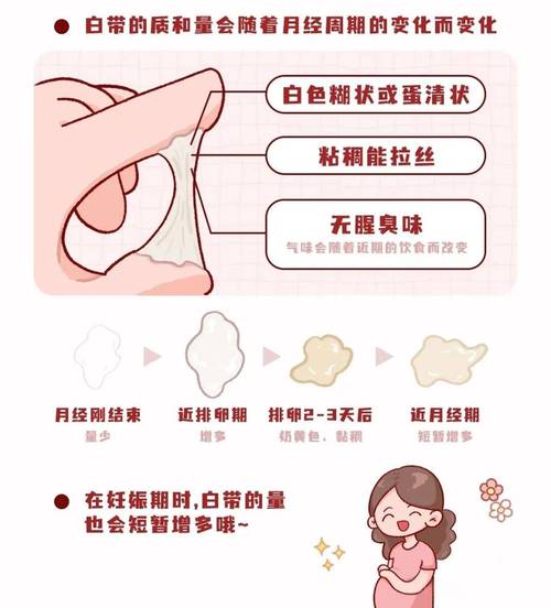 女生来白带是安全期么