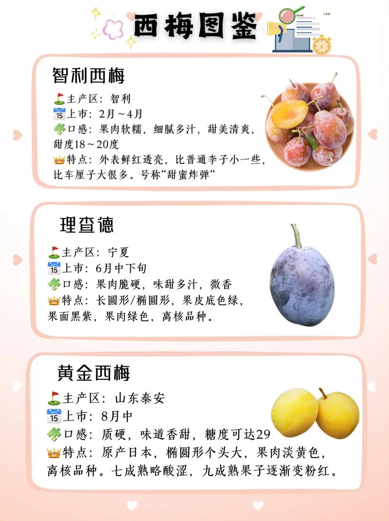 痛风的人可以吃西梅吗