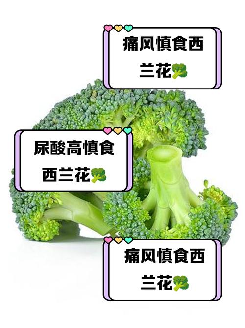 痛风患者能吃西蓝花吗