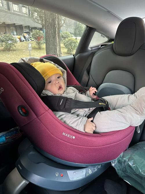 6个月宝宝做安全座椅