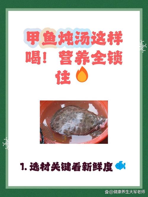 痛风的人能喝甲鱼汤吗