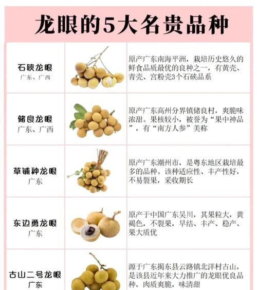 尿酸高痛风能吃桂圆吗