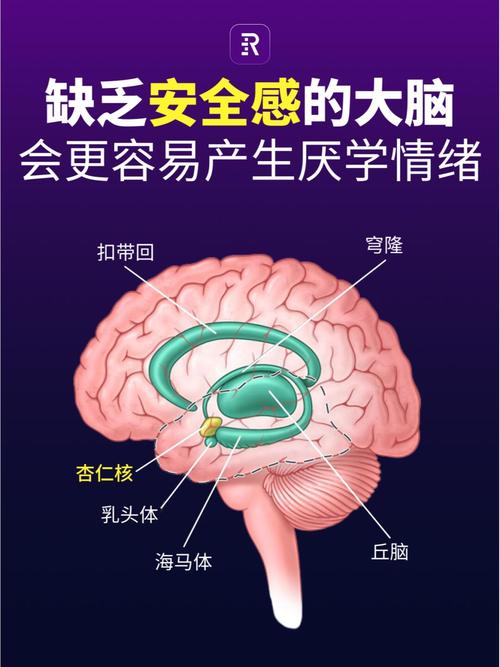 幼儿缺少安全感的原因