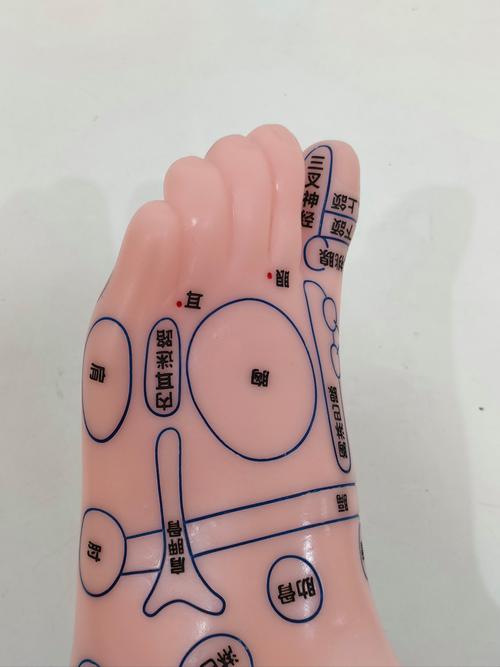 脚底针灸能治高血压吗