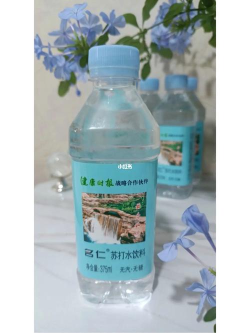 痛风喝什么苏打水最好