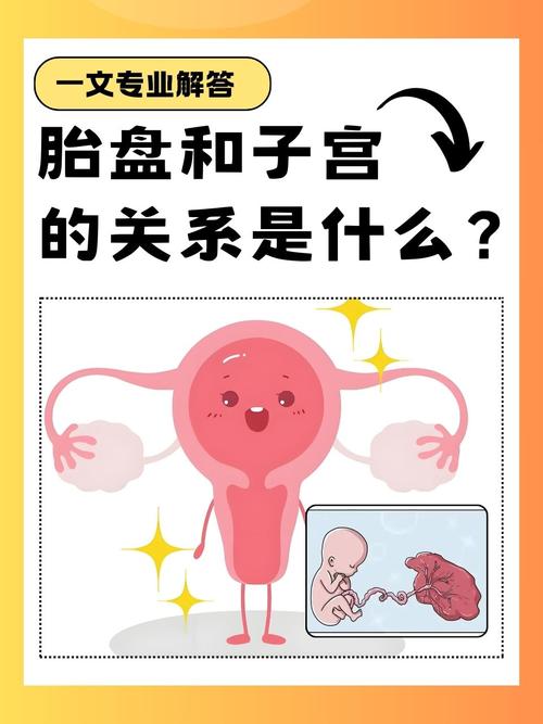 胎盘距宫颈口多少安全