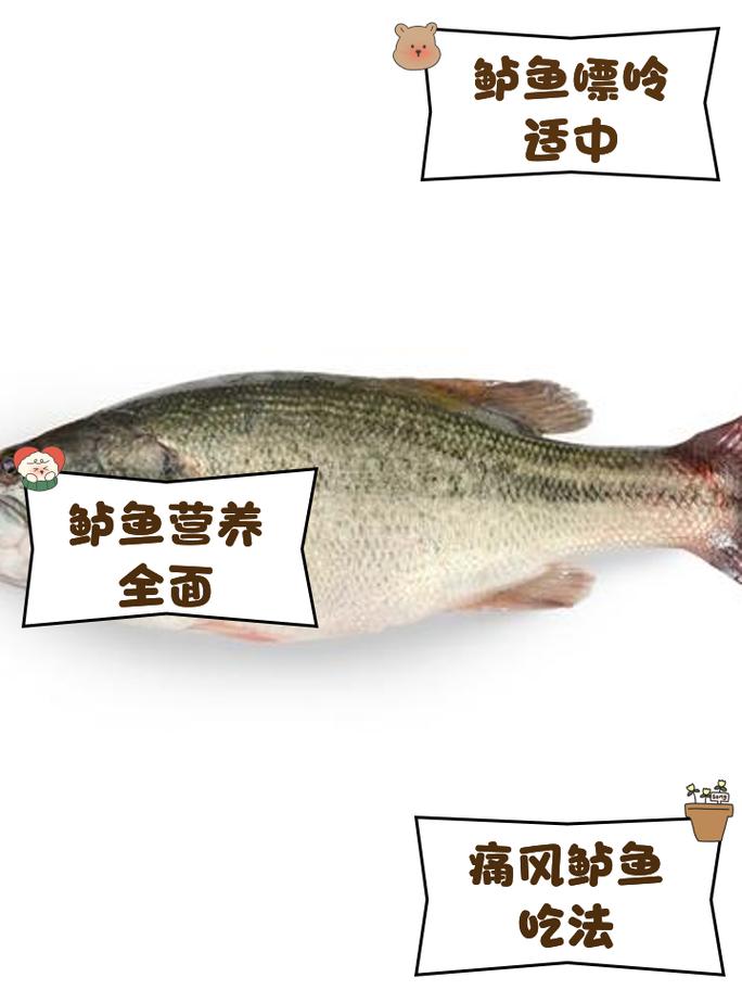 鲈鱼痛风的人可以吃吗