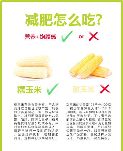针灸减肥可以吃玉米吗